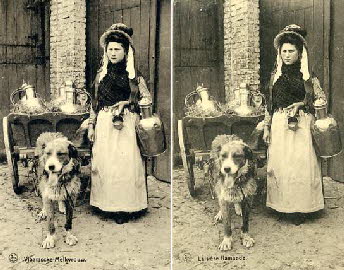 Flemish_Milkwoman_with_dog_cart