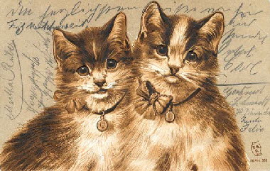 Schmidt_s528_two_cats