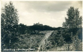 Wartburg_castle_from_distance