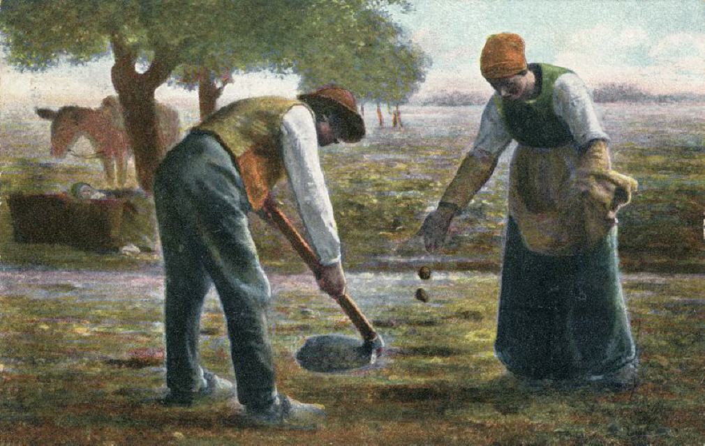 Millet. Potatoe Planters. TH. E. L. no 971.