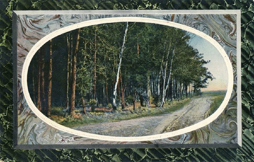 R&K ser 1601. Landscape border design. Embossed.