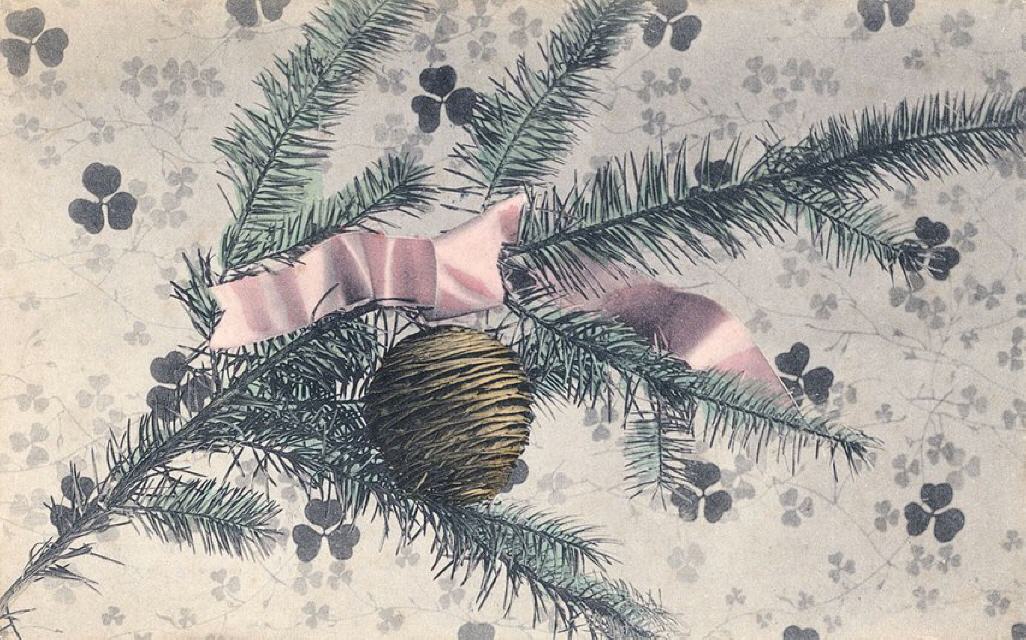 D. & Co. B. ser. 2505. Xmas/New Year Greetings