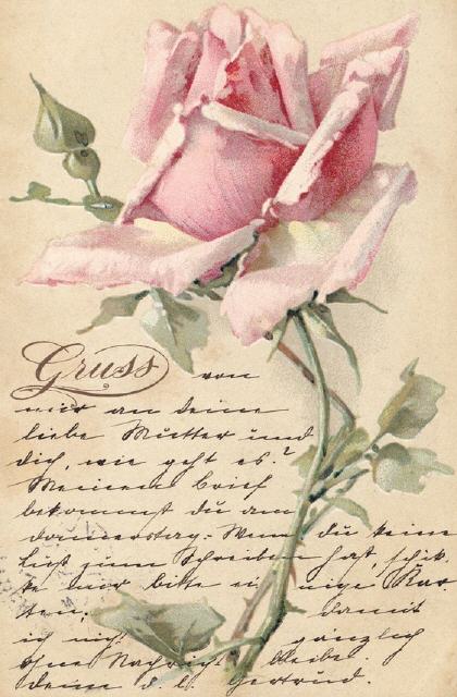 Buettner printed without number. Mailed 1899.