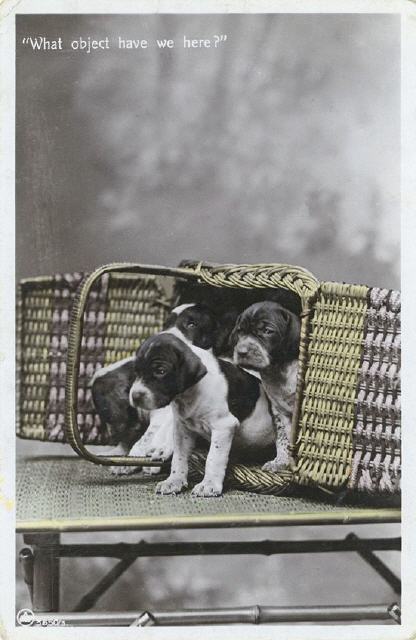 AL 3550-3. Aristophot Co. Ltd. London issue.